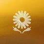 Bloem