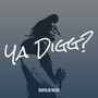 Ya Digg? (Explicit)