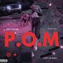 P.O.M (Party On Mars) [Explicit]