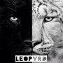 Leopvrd