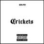 Crickets (Explicit)