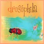 Drosóphila