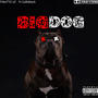 Big Dog (feat. Ca$hMack) [Explicit]