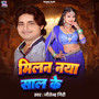 Milan Naya Saal Ke