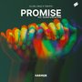 Promise