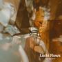 Lucki Flows