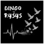Dingo Rysys
