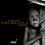 Phumelela (feat. Molly Kay) [Explicit]