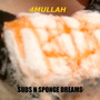 Suds N Sponge Dreams