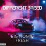 Different Breed (Explicit)