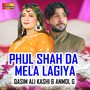 Phul Shah Da Mela Lagiya