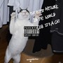 Never Be Understood (The Best Artwork in the World Cuz It's a Cat) [Explicit]