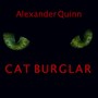 Cat Burglar