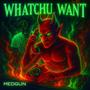 Whatchu Want (Explicit)