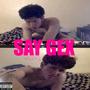 SAY GEX (feat. Acid Stereo) [Explicit]