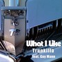 What I Like (feat. Guy Mann)