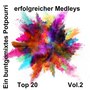 Top 20: Ein buntgemixtes Potpourri erfolgreicher Medleys, Vol. 2