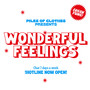 Wonderful Feelings