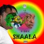 Shaala (Explicit)