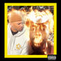 LOEPACK (Explicit)