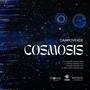 Cosmosis