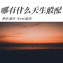 哪有什么天生般配(Feat.陆谷)