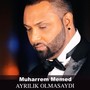 Ayrılık Olmasaydı