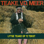 Teake van der Meer op 'e tekst