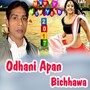 Odhani Apan Bichhawa