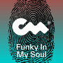 Funky In My Soul