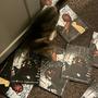 CAT (Explicit)
