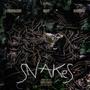 Snakes (feat. Kaso Cash & Nick P) [Explicit]