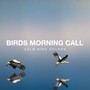 Birds Morning Call