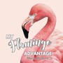 My Flamingo Advantage