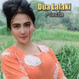 Dua Lalaki