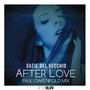 After Love (Paul Oakenfold Mix)