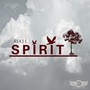 Spirit