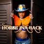 HORSE INA BACK