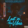 Lost In The Vibes (Explicit)