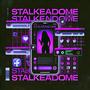 STALKEANDOME (feat. Deiv!z)