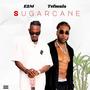 SUGARCANE (feat. E2M) [Explicit]