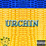 Urchin (Explicit)