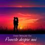 Poveste despre noi (feat. GREU)