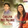 Cheliya Nee Paluke (From 