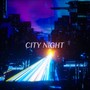 CITY NIGHT