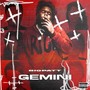 Gemini (Explicit)