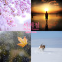 사계절 (The Four Seasons)