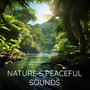 Nature's Peaceful Sounds (Ambiences for Better Sleep)