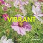 Vibrant (Extended Mix)