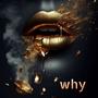 Why (feat. Big Gigantic, Daniel Allan & DLG.)